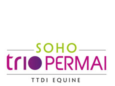 SOHO Trio Permai